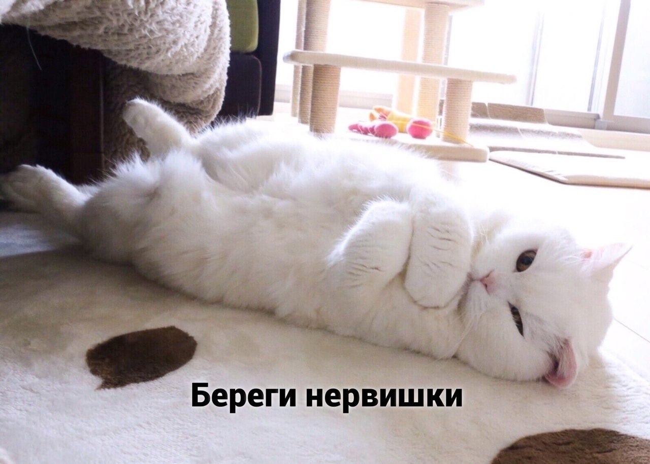  : - 2