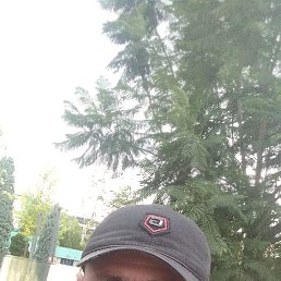 ����������, ���������, 46 ���