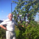 ���� ����, �������, 68 ��� - ��������� 31 ��� 2023