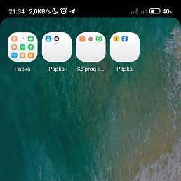 Bek, �����, 37 ���