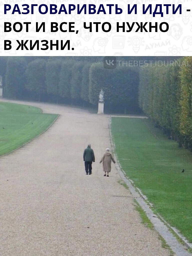 ,    .,     