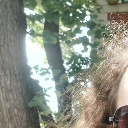 ��������, ������������, 24 ����