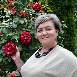 ���� �����, ����, 54 ���� - ��������� 10 ������� 2023