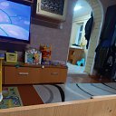 ���� ������, �����-���������, 31 ��� - ��������� 8 �������� 2023 � ������ ���� ����������