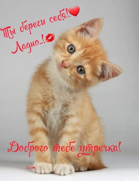 ***Victoria Viktorovna*** - 24  2023  05:30