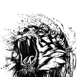 Zicx, �����, 38 ���