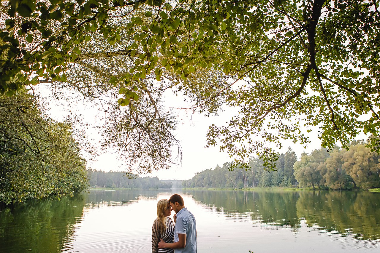    :      .       .  ...