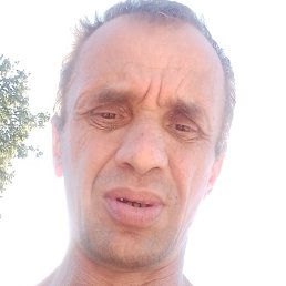 , , 51 