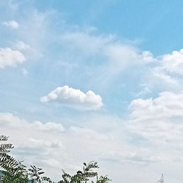 A.q., ������, 35 ���