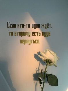   - 13  2023  07:15