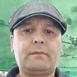 ����, ������, 48 ���