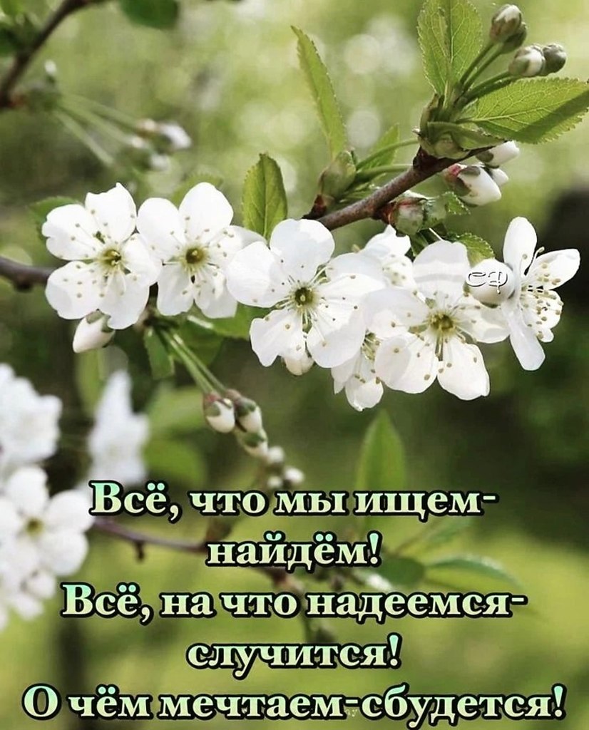   - 22  2023  06:56