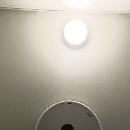 Ox, ���������, 22 ����