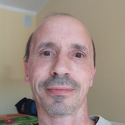 ����, ������, 49 ���