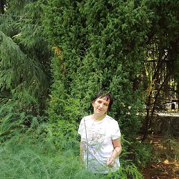 ��������, ���������, 56 ���