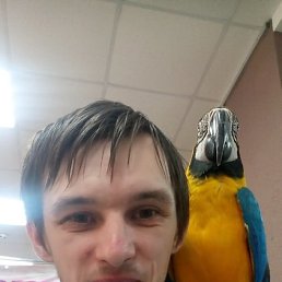, 34 , 