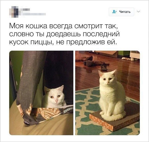    - 18  2023  23:37