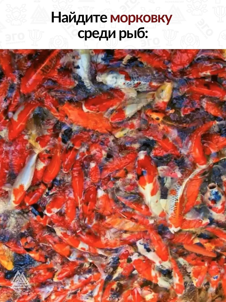 ,         .