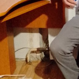 ����, ������, 46 ���