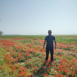 �����, ������ ��������, 32 ����