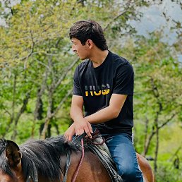 �������, �����-���������, 21 ���