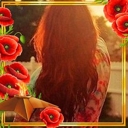 ����, ������������, 37 ���