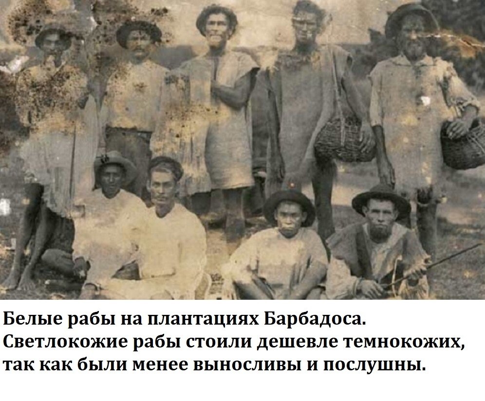Белые рабы тоже были, если вдруг вы не знали. | Just Business ...