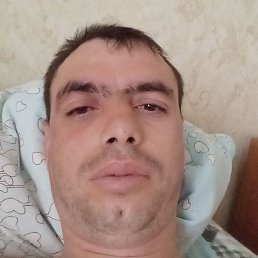 �����, �������, 37 ���