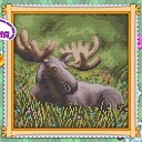 ���� �������, ������, 64 ���� - ��������� 27 ������� 2023