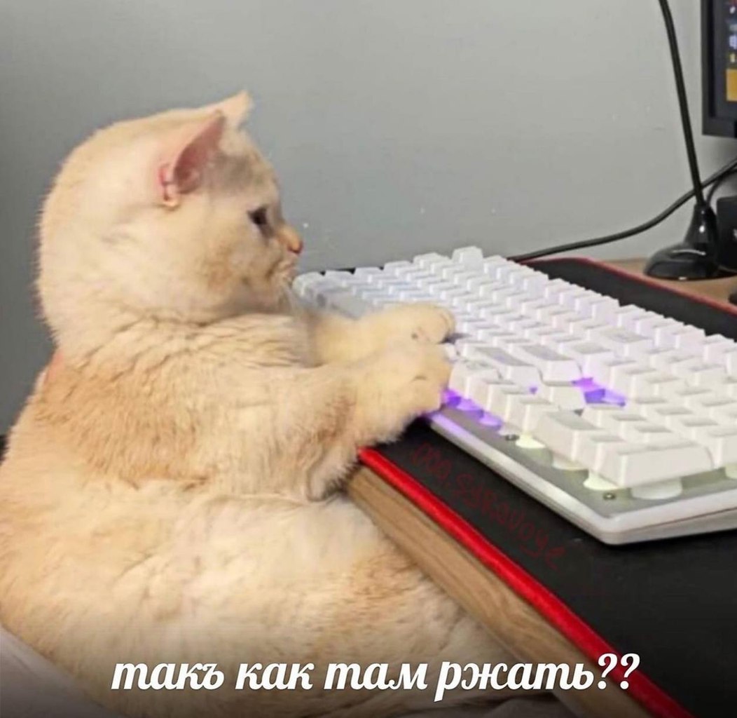    - 4  2023  18:19