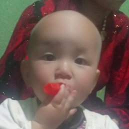 ���������, ������, 24 ����