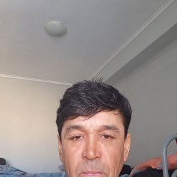 , 52 , 