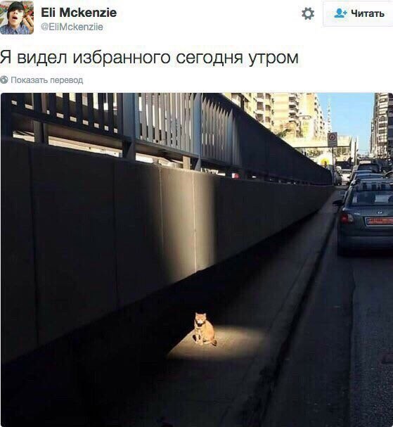    - 12  2023  11:41