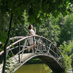 �����, ������, 46 ���