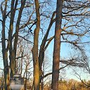 ���� ������, �����-���������, 60 ��� - ��������� 24 ��� 2023