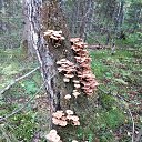 ���� ������, ���������� - ��������� 10 �������� 2023 � ������ ������ ��������