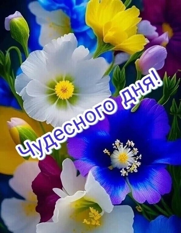   ,    . - 24  2023  13:10 - 4