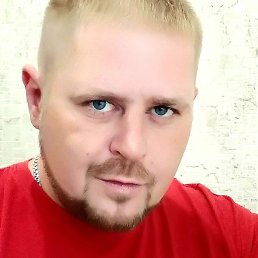 �������, �������-���������, 41 ���