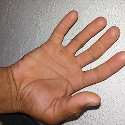 ���� ���, �����, 33 ���� - ��������� 13 ������� 2023