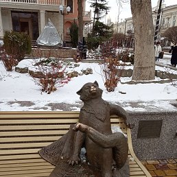 ���� ���� ����, ���������, 57 ��� - ��������� 29 ������� 2023