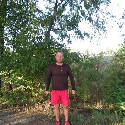 ����, ���������, 39 ���