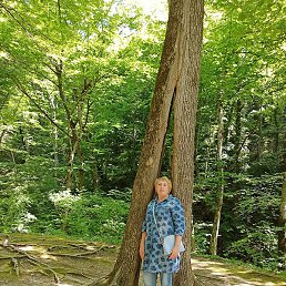 ������, ������������, 60 ���