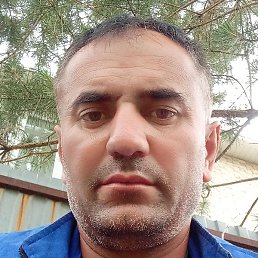 �������, ������, 41 ���