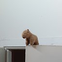 ���� ����, �������, 22 ���� - ��������� 17 �������� 2023