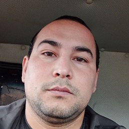 Bek, ������, 31 ���