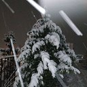 ���� �����, ������, 55 ��� - ��������� 30 ������� 2023 � ������ ���� ����������