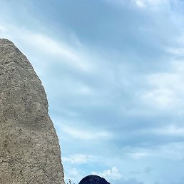 �������, ������, 35 ���