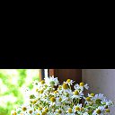 ���� Leyla, ����, 30 ��� - ��������� 17 ���� 2023