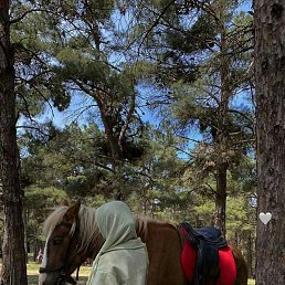 Qorako&lsquo;z, �����, 26 ���