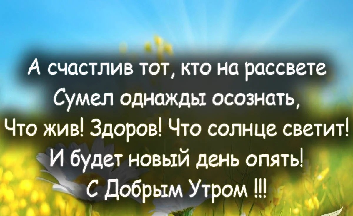 * * * * * * * * * * * * * * * * * * * *
